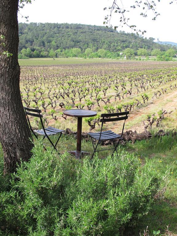 Les Pierres Sauvages Besse-sur-Issole Exterior foto